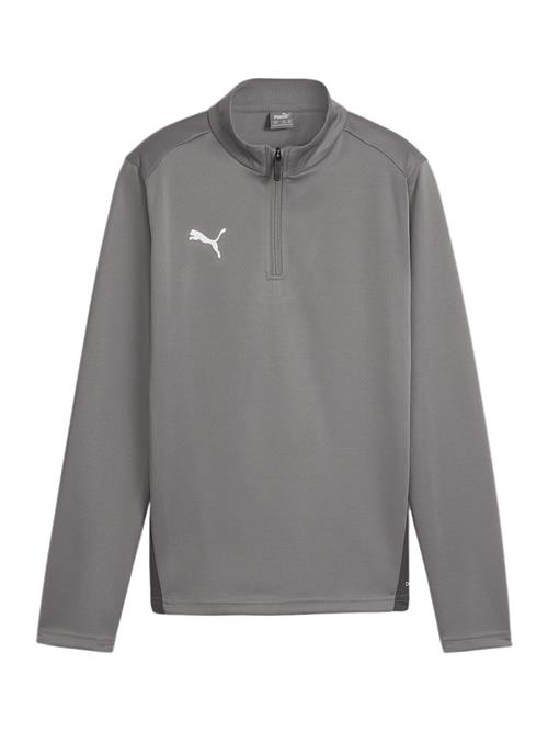 PUMA Funktionsskjorte 'Team Goal'  grå