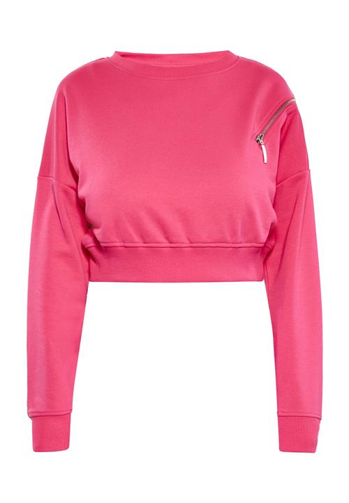 ROCKEASY Sweatshirt  hindbær