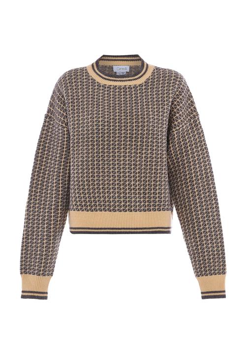 Se caneva Pullover  sand / sort hos About You