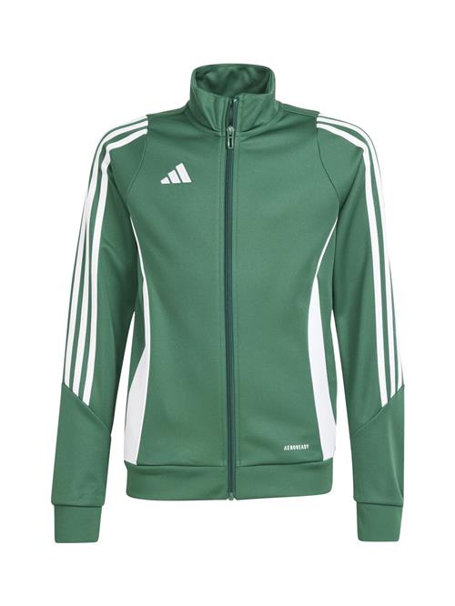 ADIDAS PERFORMANCE Sportsjakke  grøn / hvid