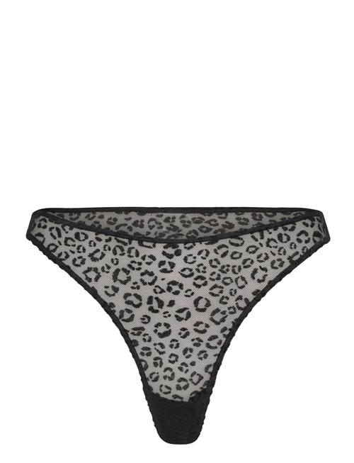 Understatement Underwear | Lace Thong | XL