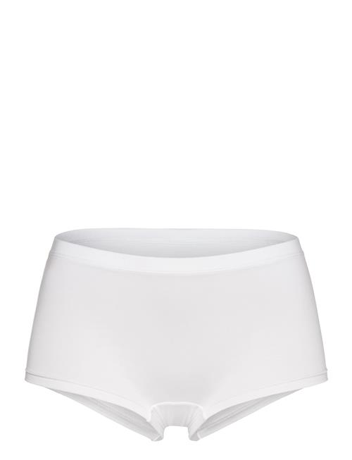 CCDK Copenhagen | Modal Shorts Brief | S