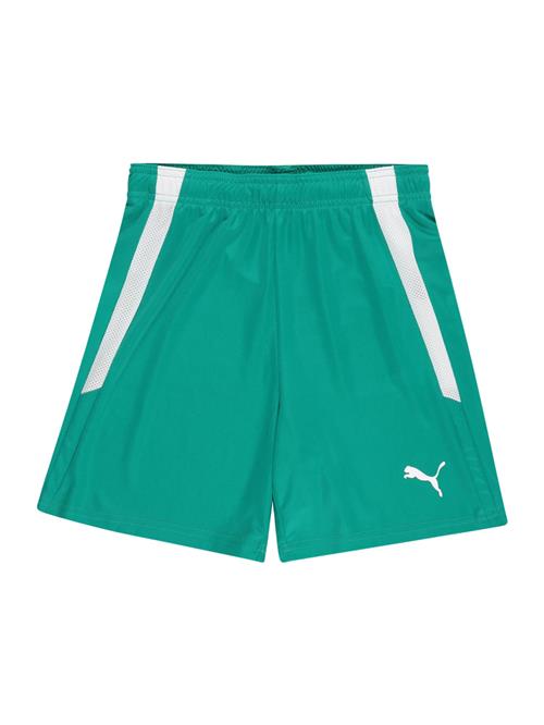 PUMA Sportsbukser 'TeamLiga'  jade / hvid