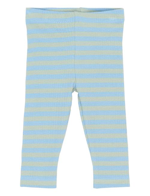 The New | Tnsbfro Rib Leggings | 68