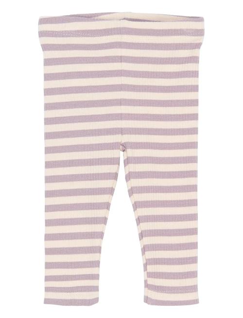 The New | Tnsbfro Rib Leggings | 62