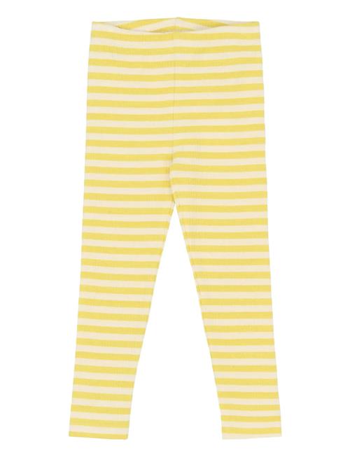 The New | Tnstfro Rib Leggings | 104