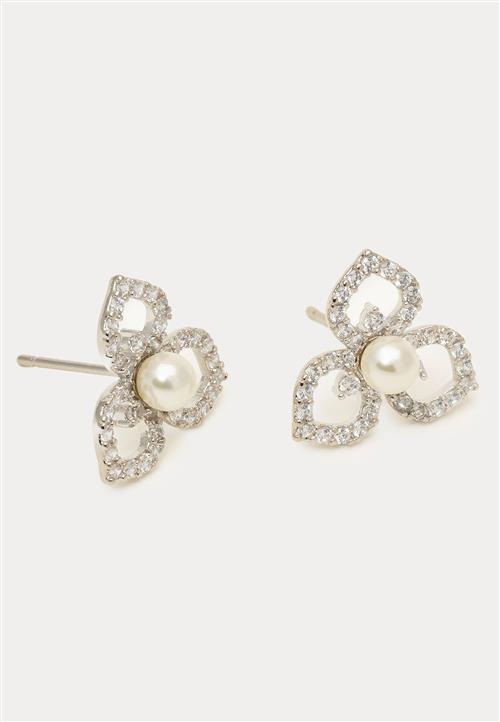 LILY AND ROSE Elise Earrings - Ivory Pearl