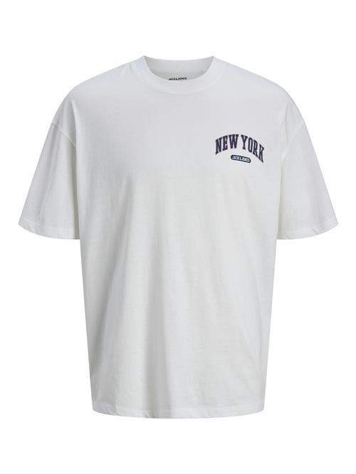 JACK & JONES Bluser & t-shirts 'Bradley'  sort / hvid