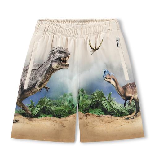 Molo GOTS Amil Sweat Shorts Hot Spring Dinos  Hot Spring Dinos 122 cm  Creme  122 cm  mand