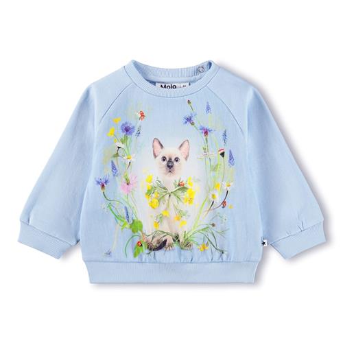 Molo GOTS Disc Sweatshirt Meadow Kitten  Meadow Kitten 74 cm  Blå  74 cm  kvinde