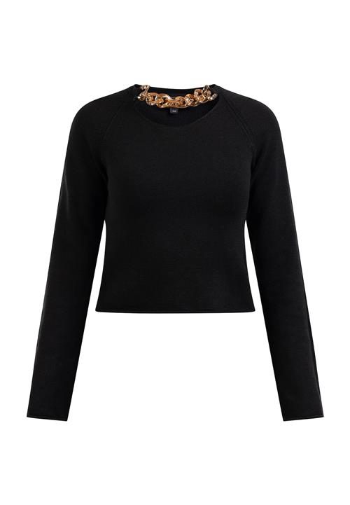 Se faina Pullover 'Caissa'  sort hos About You