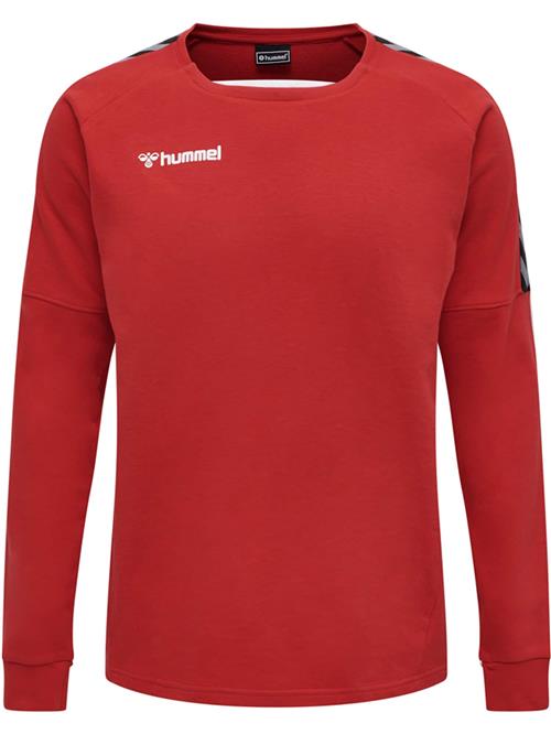 Hummel Sportsweatshirt 'Authentic'  rød / sort / hvid