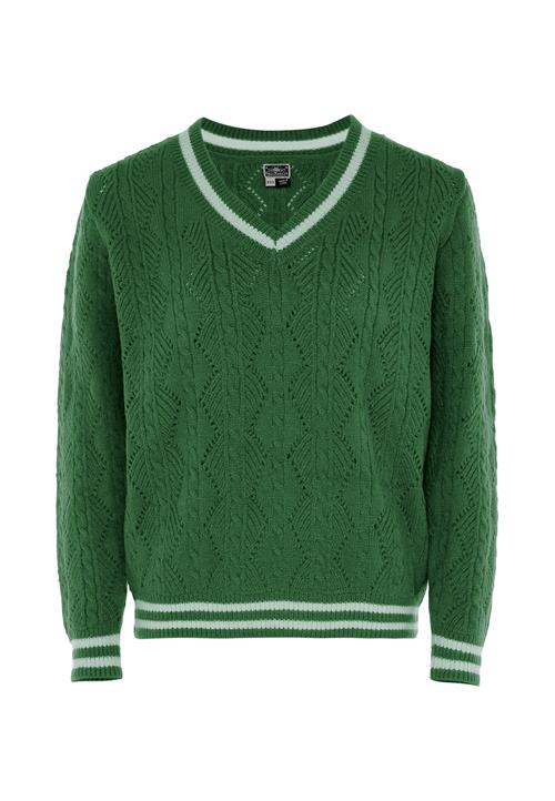 DreiMaster Maritim Pullover  grøn / hvid