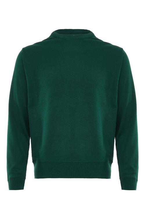 NALLY Pullover  gran