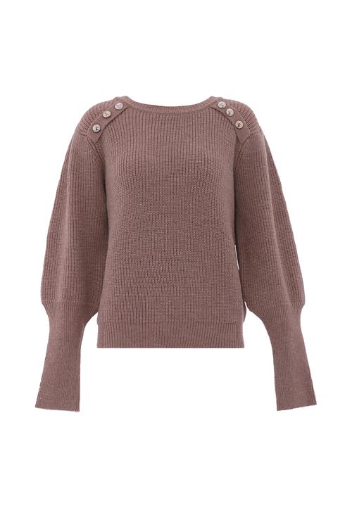 nascita Pullover  brun