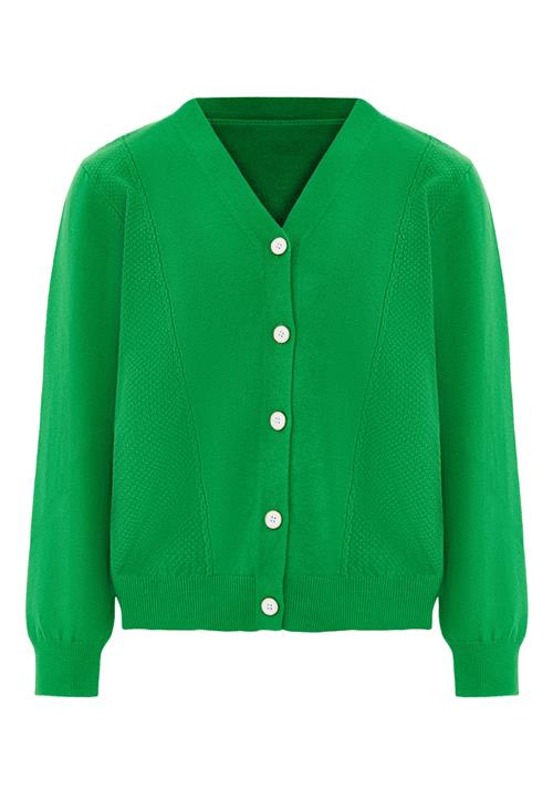 SANIKA Cardigan  grøn