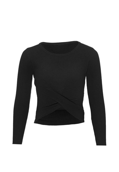 leo basics Pullover  sort