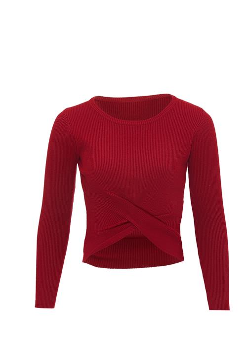 leo basics Pullover  blodrød