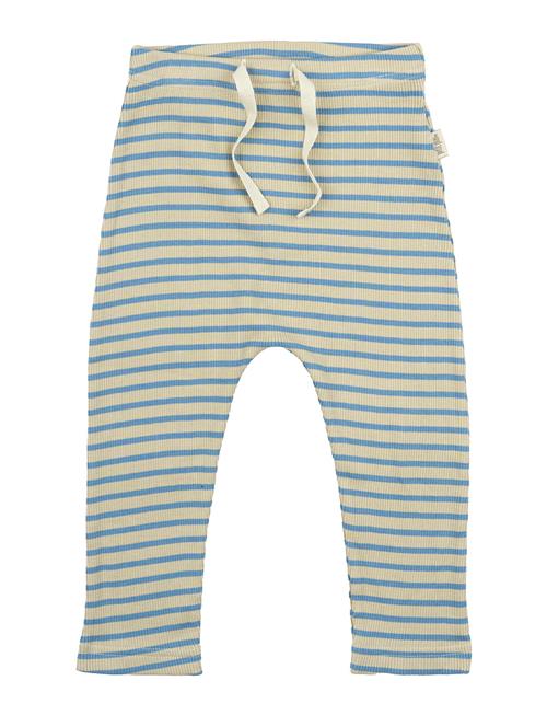 Petit Piao | Pants Modal Striped | 62