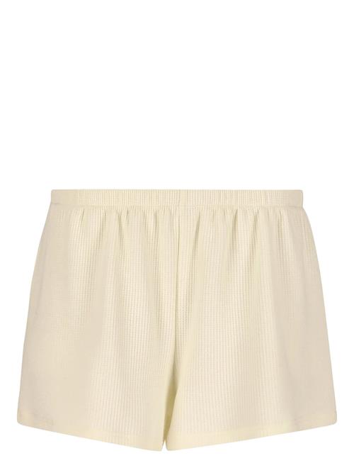 Athlecia | Cardall W Waffle Shorts | 34