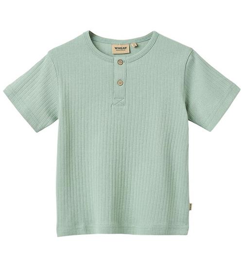Wheat T-shirt - Rib - Lumi - Green Pool
