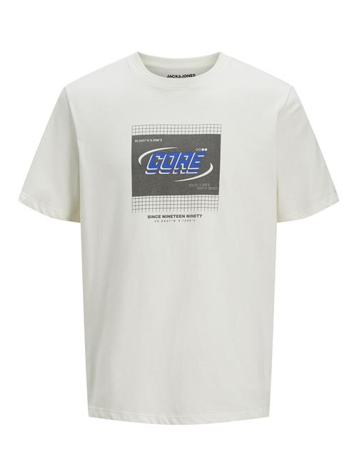 JACK & JONES Bluser & t-shirts  blå / sort / hvid