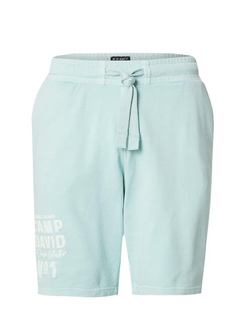 CAMP DAVID Bukser  pastelgul / mint