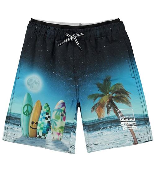 Molo Badeshorts - Neal - Sunset Surfer