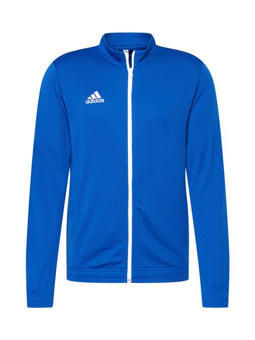 ADIDAS PERFORMANCE Træningsjakke 'Entrada 22'  blå / hvid