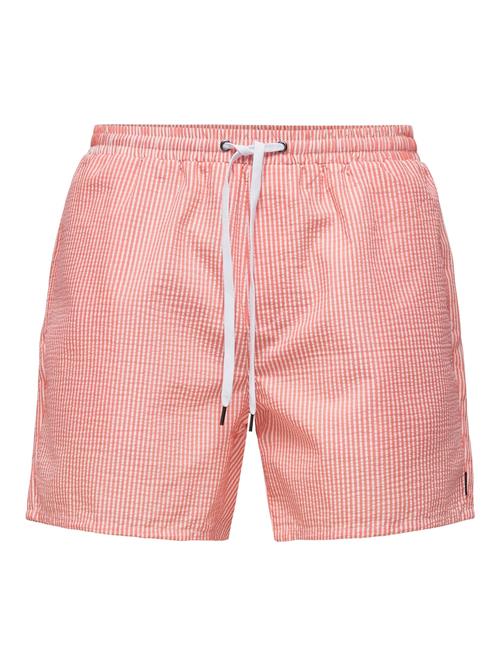 Only & Sons Badeshorts 'ONSTED'  pitaya / hvid