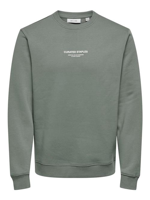 Only & Sons Sweatshirt 'ONSCurated'  røggrå / hvid