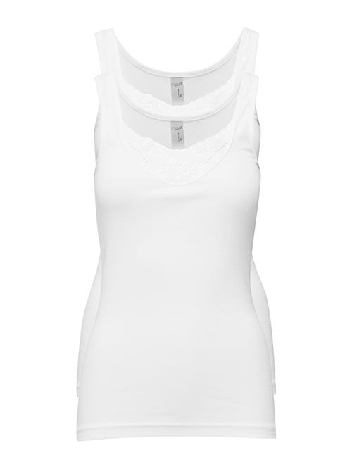 Missya | Lace Wide Strap 2 Pack | 44