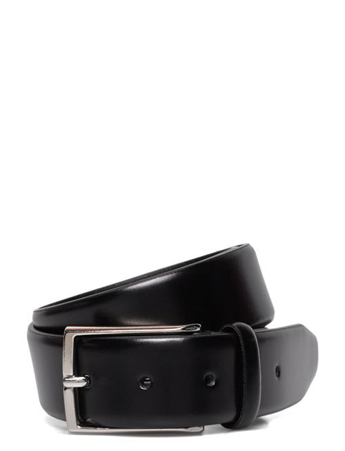 Saddler | Cederlund | 120CM