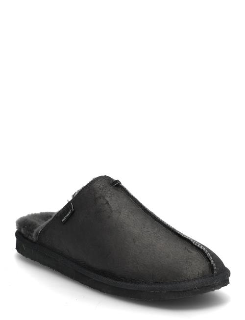 Shepherd | Hugo Tofflor | 42