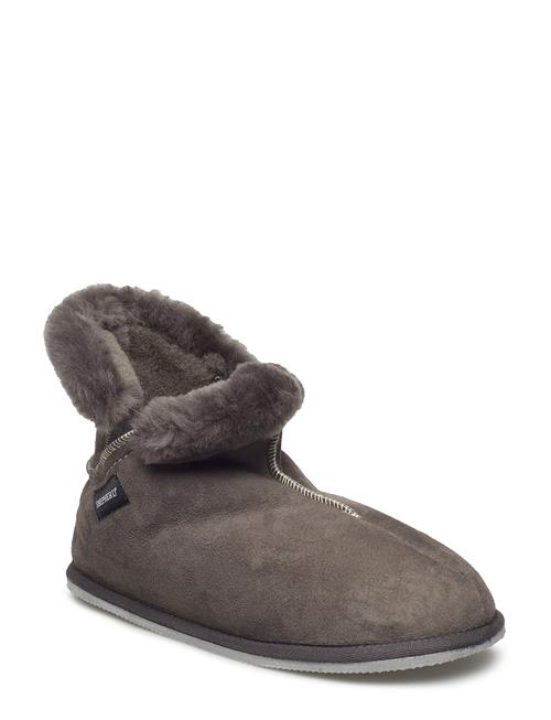 Shepherd | Oskar | 43