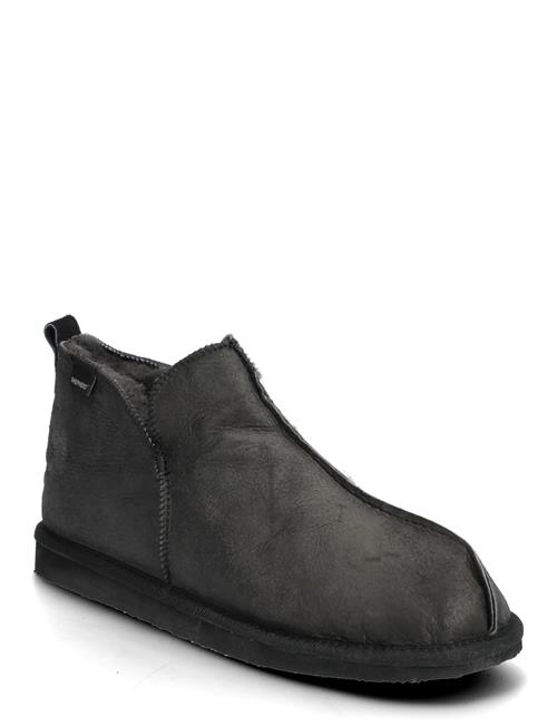Shepherd | Anton Tofflor | 46