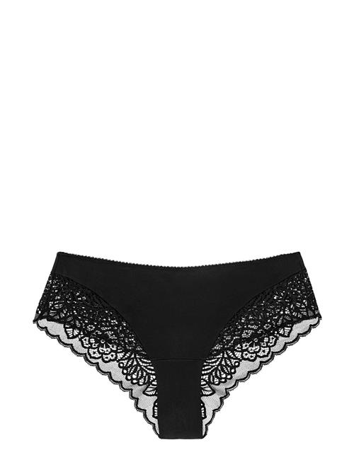 Triumph | Amourette Spotlight Hipster X | 44