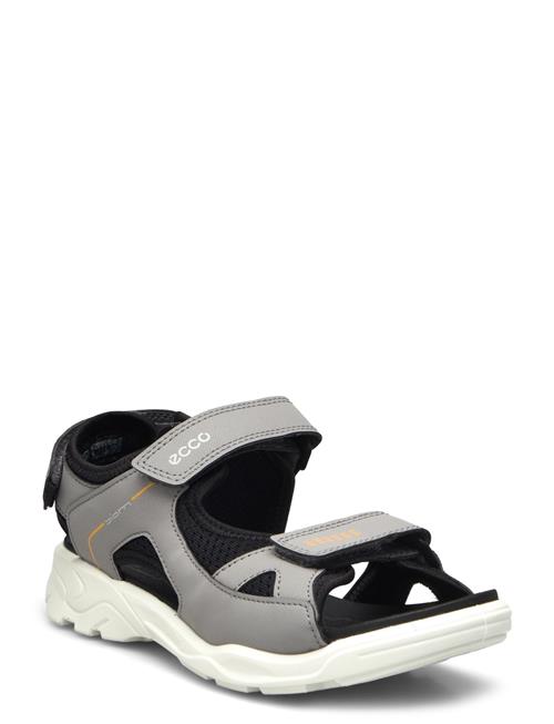 ECCO | Biom Raft | 38