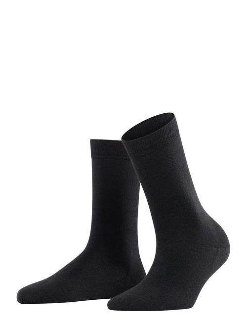 Falke Women | Softmerino Pressure-Free Toe | 41-42