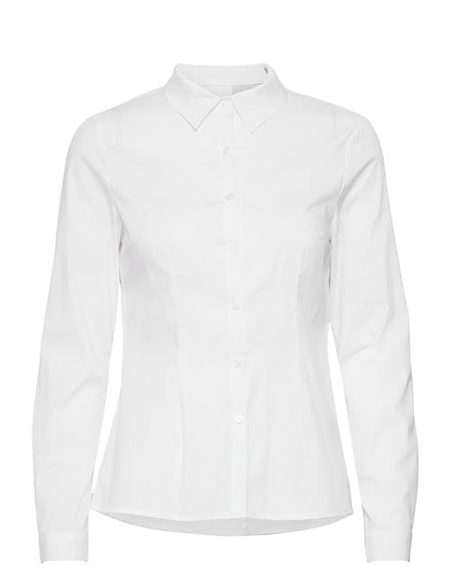 ICHI | Ihdima Sh | 40