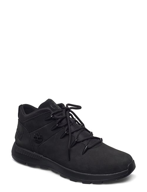 Timberland | Mid Lace Up Sneaker | 43