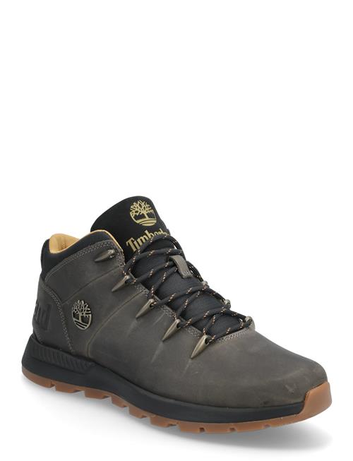 Timberland | Mid Lace Up Sneaker | 43