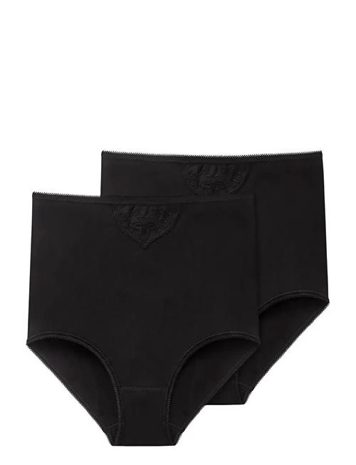 Schiesser | Maxi Brief | XXXXL