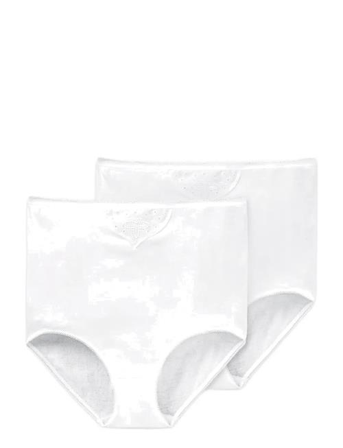 Schiesser | Maxi Brief | L