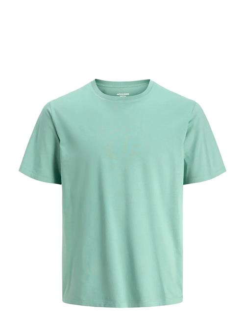 Jack & Jones | Jjeorganic Basic Tee Ss O-Neck Noos Jnr | 140