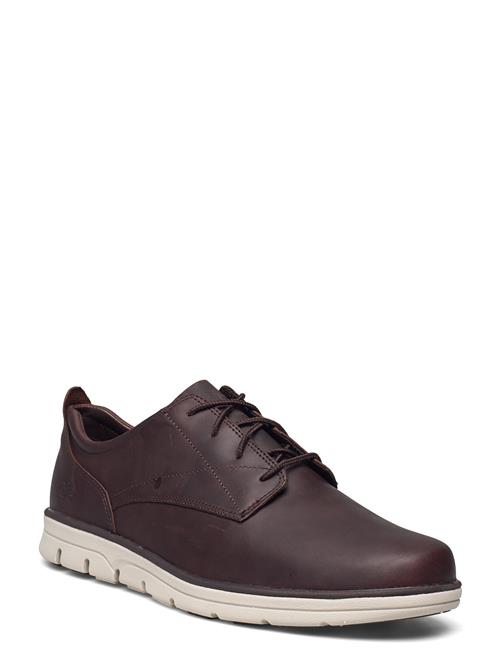 Timberland | Bradstreet Low Lace Up Sneaker Soil | 44