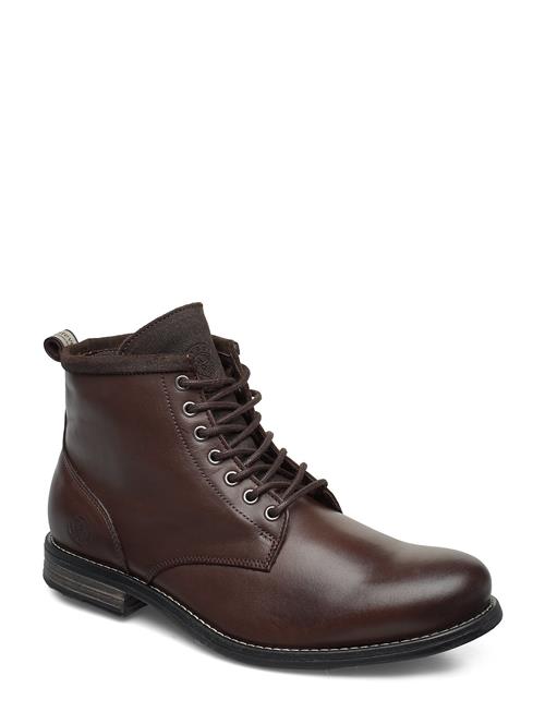 Sneaky Steve | Peaker Ii Brown | 41