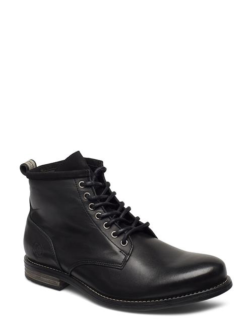 Sneaky Steve | Peaker Ii Black | 42