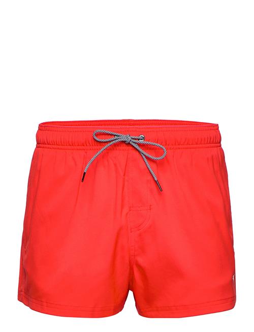 Puma Swim | Puma Swim Men Short Shorts 1P | L