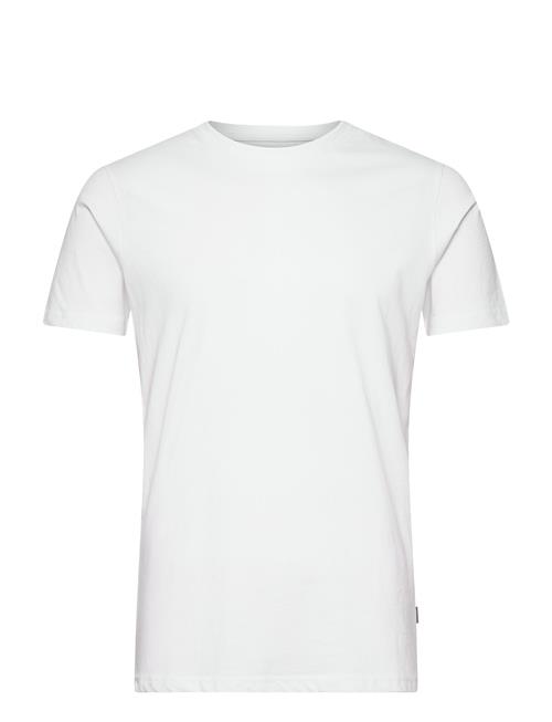 Solid | Sdrock Ss | L